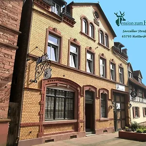 https://pension-zum-hirsch.hotelsheidelberg.net